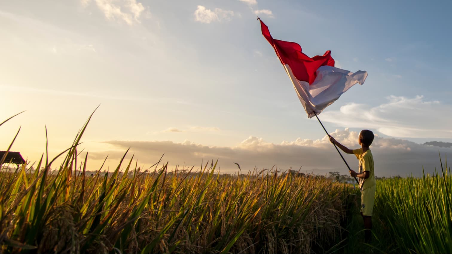 Yayasan BUMN's image